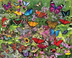 Butterflies, Butterflies, Butterflies 1,000 Piece Puzzle