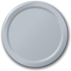 Shimmering Silver 10" Paper Plates - 24 Count